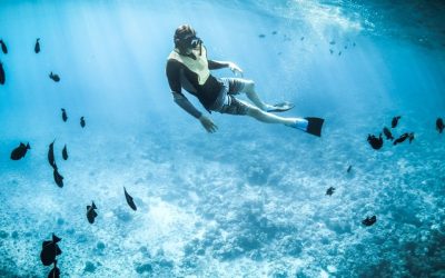 Plongée au Sénégal : les meilleurs spots