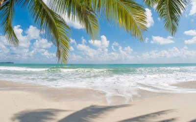 Voyage au Sénégal : conseils et bons plans