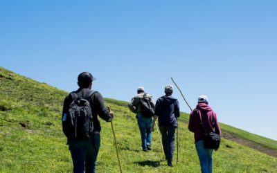 Excursions à San Salvador au Sénégal: aventures singulières entre nature et authenticité