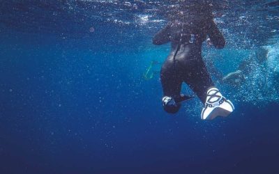 Plongée épave au Sénégal: explorer les secrets engloutis des côtes atlantiques
