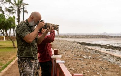 Observation des oiseaux au Sénégal: les havres où la biodiversité prend son envol
