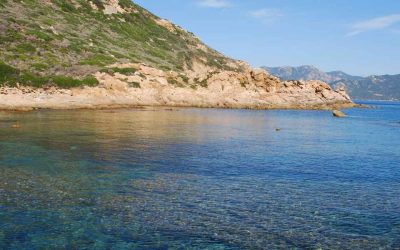 Îles secrètes du Sénégal : où trouver des coins encore préservés ?
