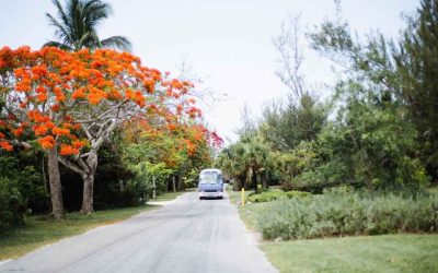 Road trip Sénégal : quels paysages incroyables découvrir entre désert, plage et savane ?