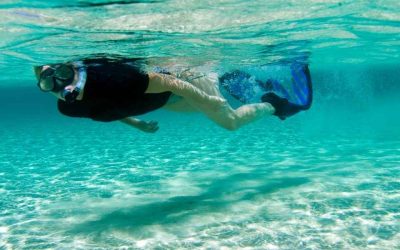 Spots snorkeling Sénégal : où admirer les plus beaux fonds marins ?