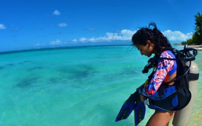 Meilleure période plongée Sénégal : quand partir pour des conditions idéales sous l’eau ?