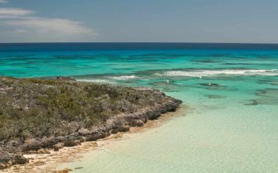 Cat Island Sénégal à visiter : pourquoi cette île mérite-t-elle vraiment votre attention ?
