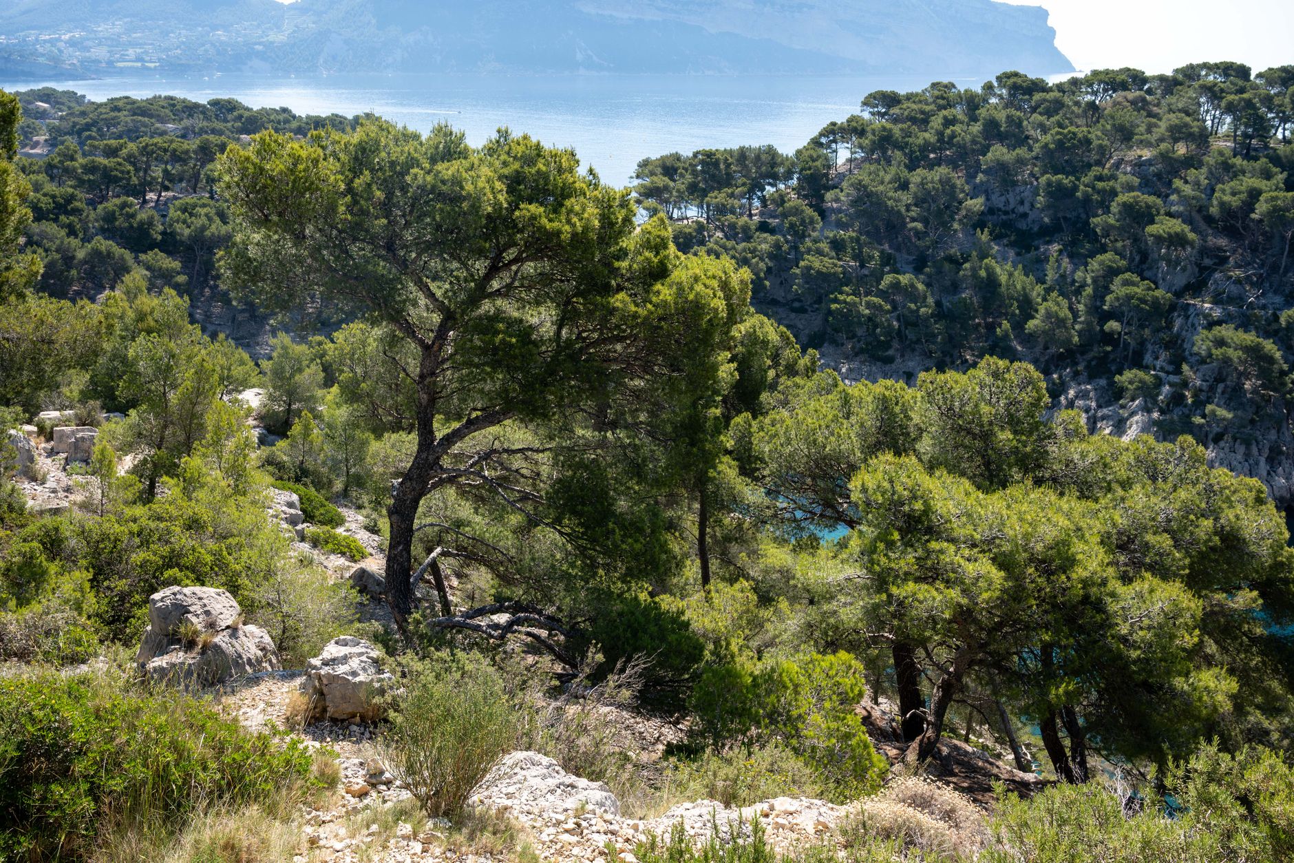 Découvrez les parcs nationaux du Sénégal