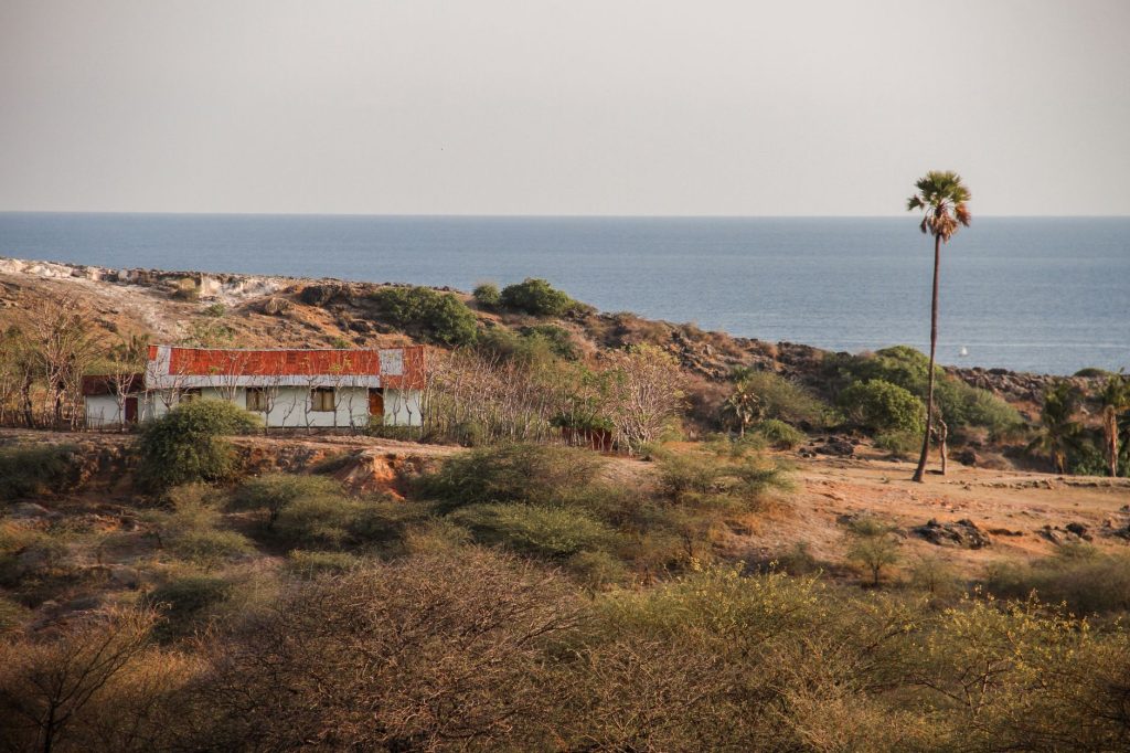 Scenic view of a rustic house and palm tree overlooking the ocean in East Nusa Tenggara, Indonesia.