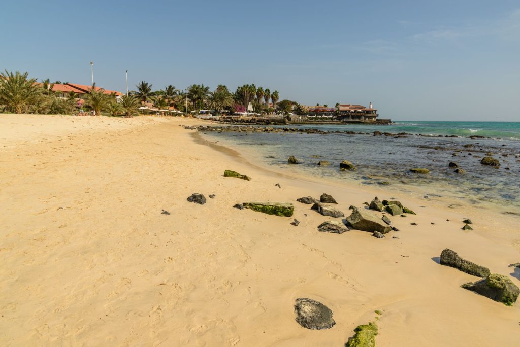 Sunny day on a tropical beach with palm trees, sandy coast, and rocky shoreline.