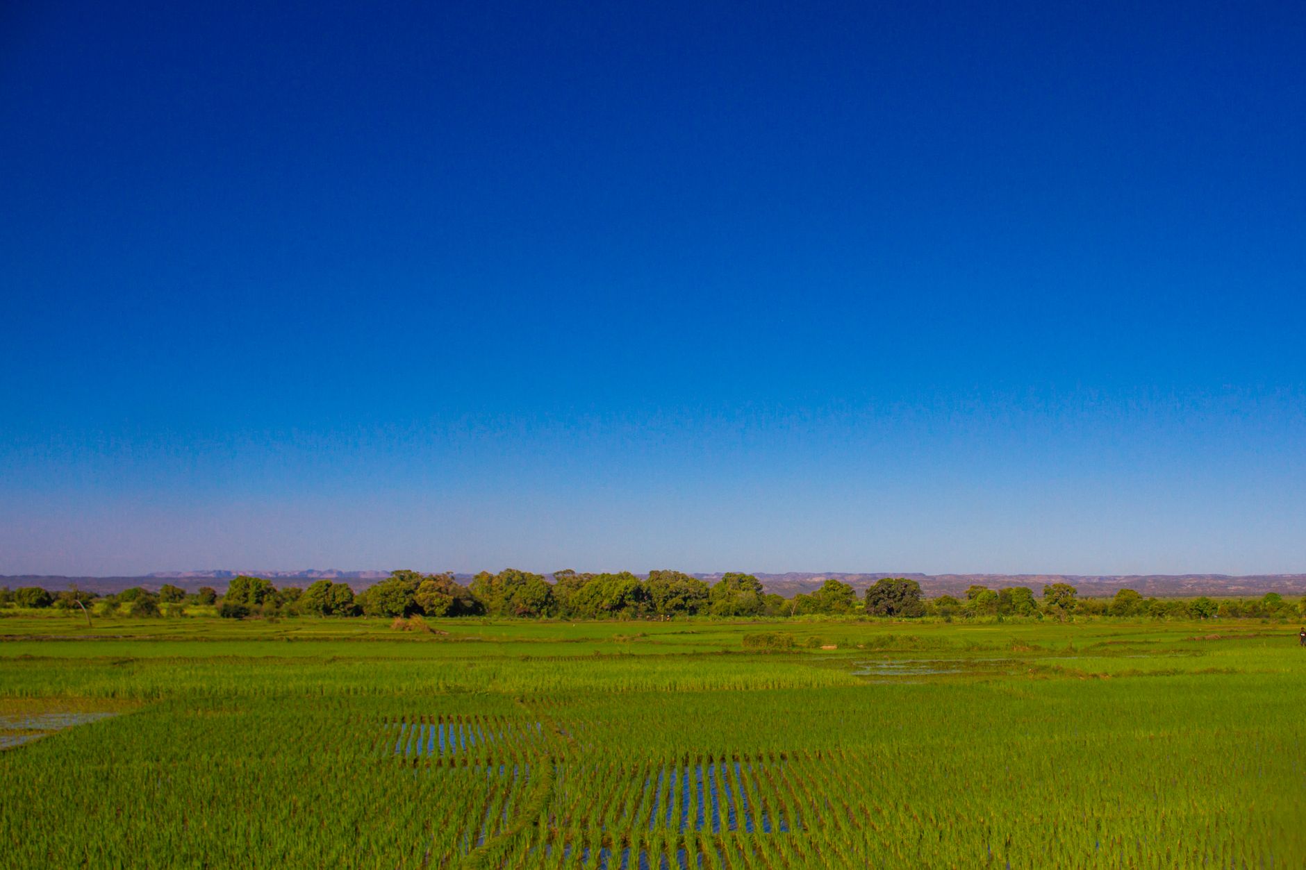 Les plus beaux paysages du Sénégal à découvrir
