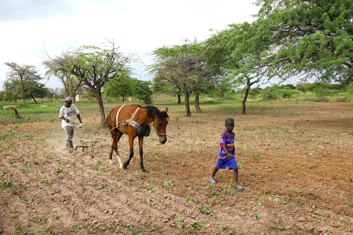 Une famille en extérieur — un paysage sénégalais.