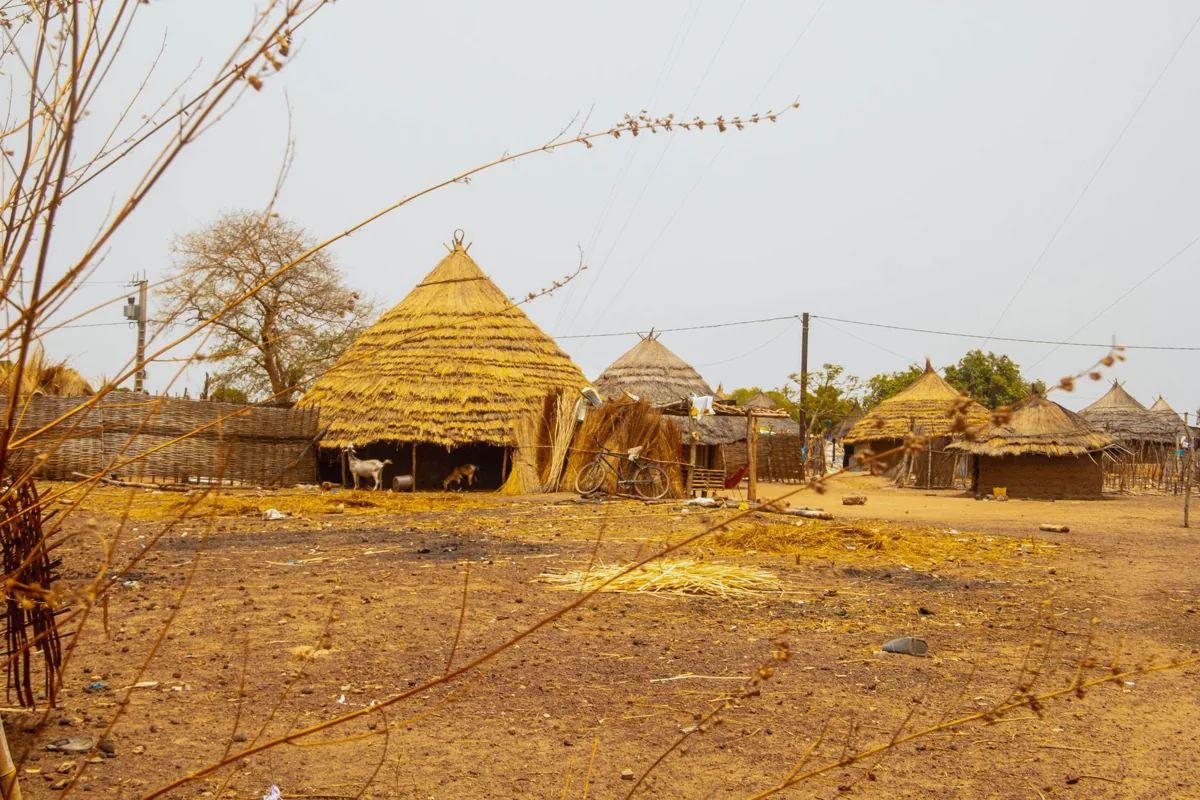 Une route sénégalaise — un paysage sénégalais.